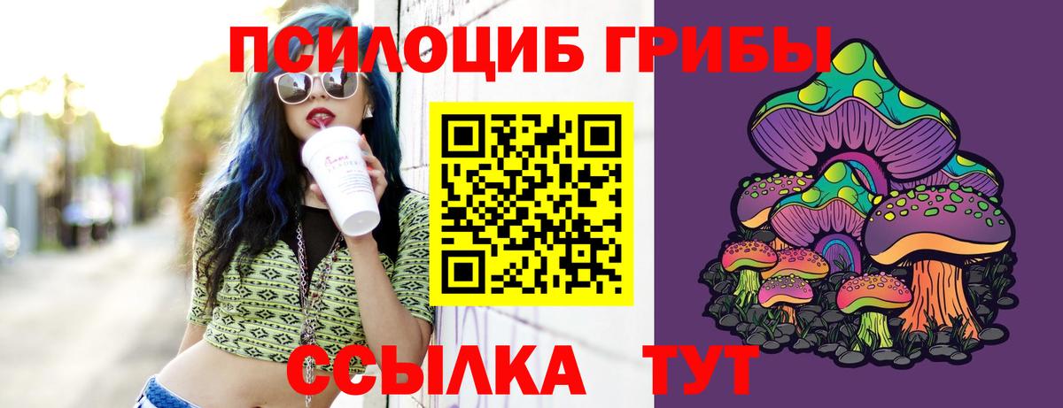 Псилоцибиновые грибы Psilocybe Аша