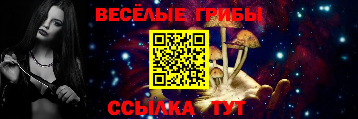 Галлюциногенные грибы GOLDEN TEACHER  Вход с VPN  Аша 